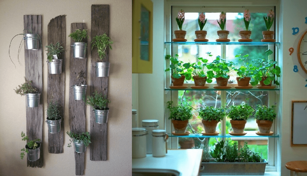 Easy Herbs To Grow By Your Window