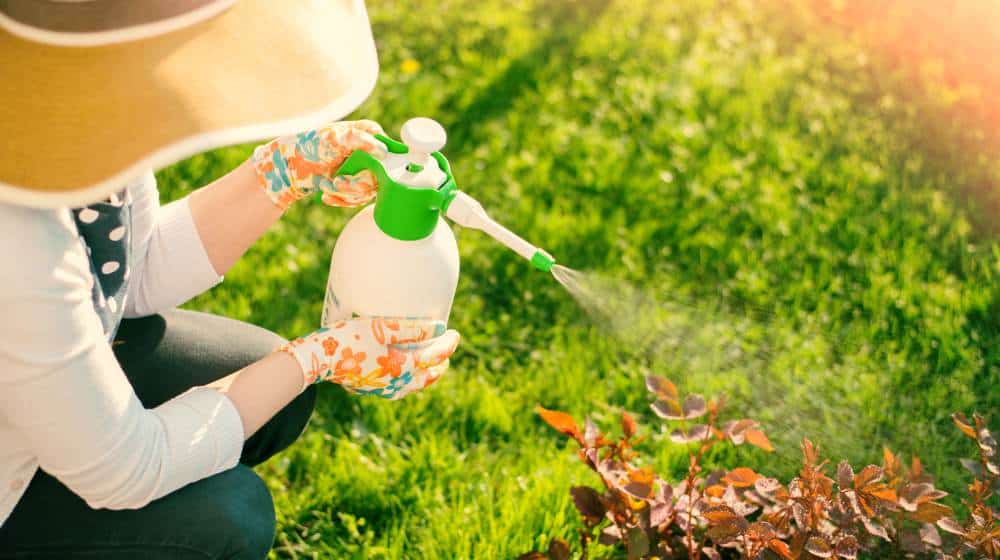 Organic Pesticides For Your Garden