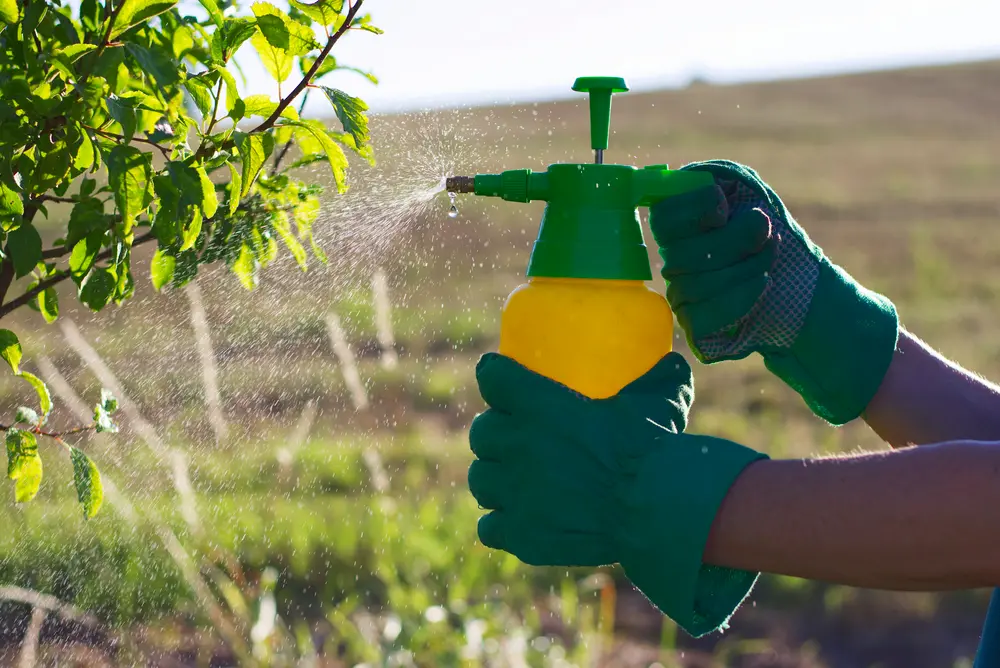 Pesticides To Avoid In Your Edible Garden